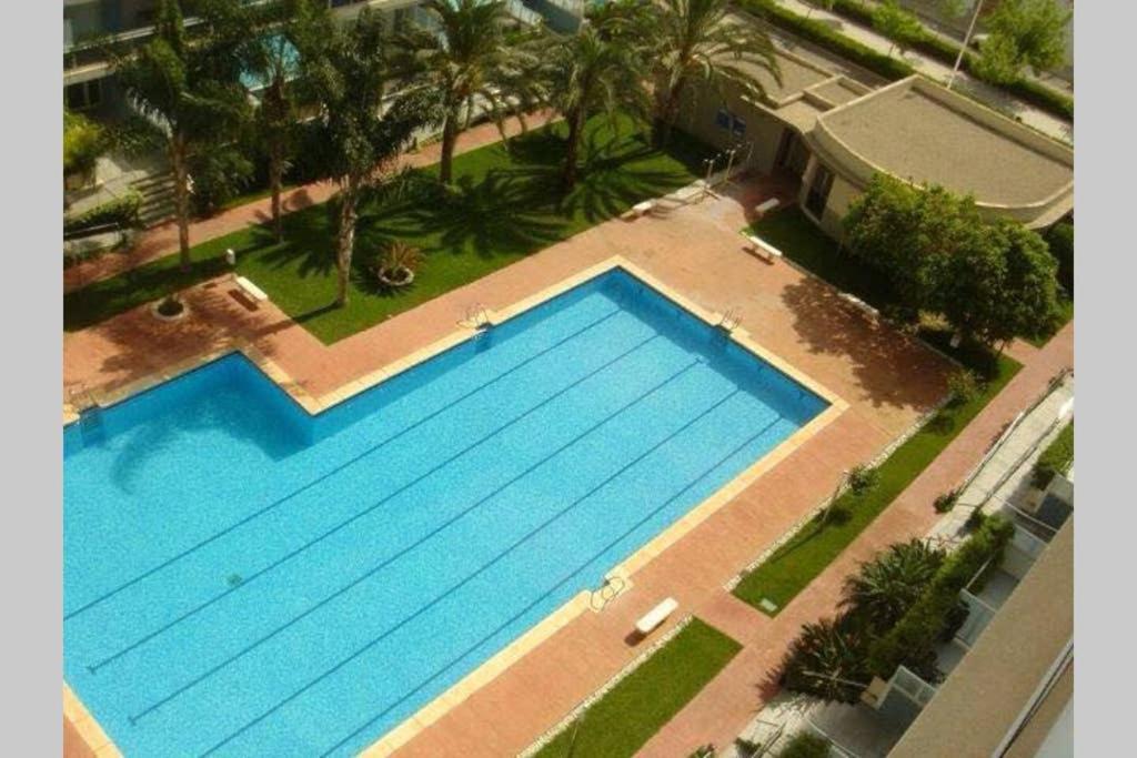 Apartamento Athenea Gandía Buitenkant foto