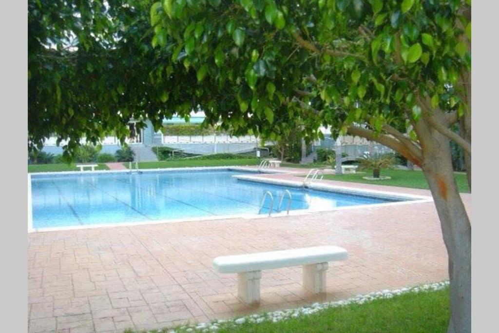 Apartamento Athenea Gandía Buitenkant foto